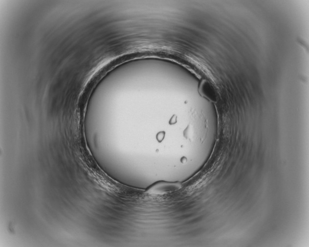 X0000096431021200802071721