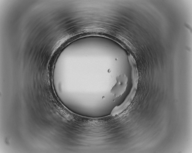 X0000096431022200802071721