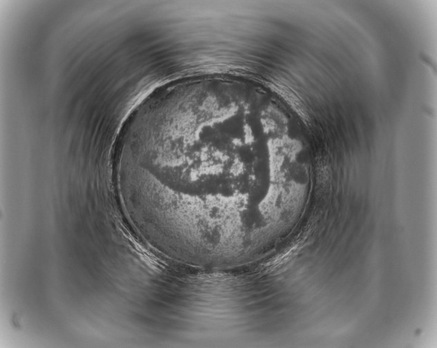 X0000096431023200802071721