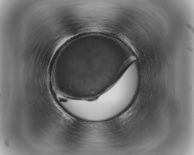 X0000096431024200802071721