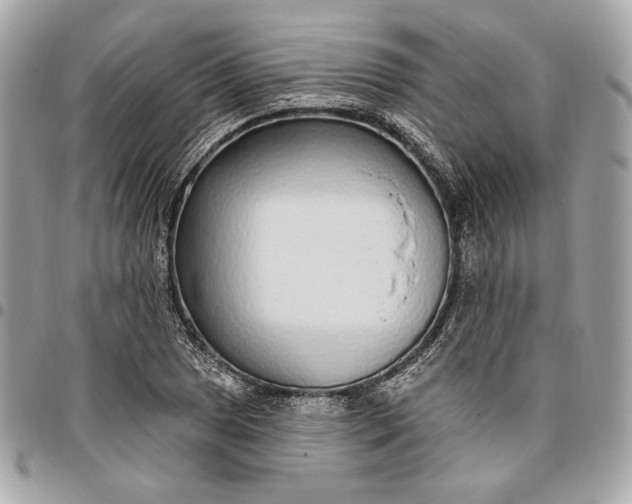 X0000096431025200802071721