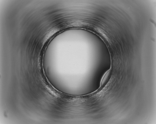 X0000096431026200802071721