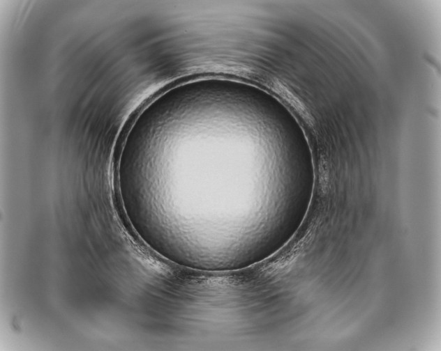 X0000096431028200802071721