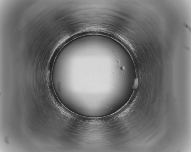 X0000096431029200802071721