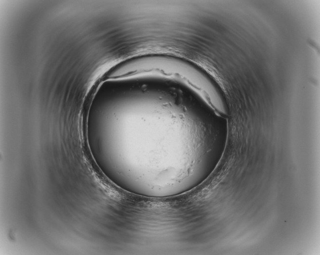 X0000096431030200802071721