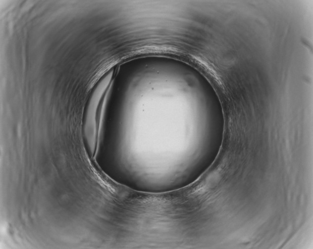 X0000096431033200802071721