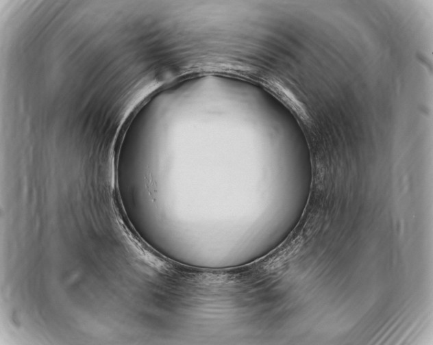 X0000096431036200802071721