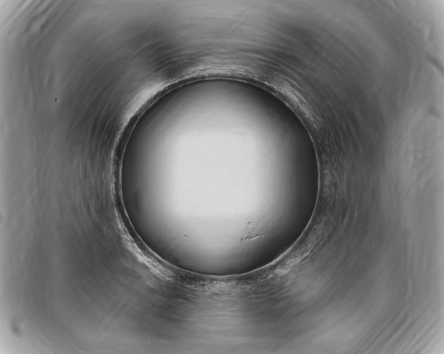 X0000096431038200802071721