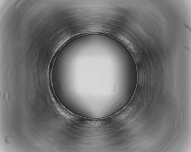 X0000096431039200802071721