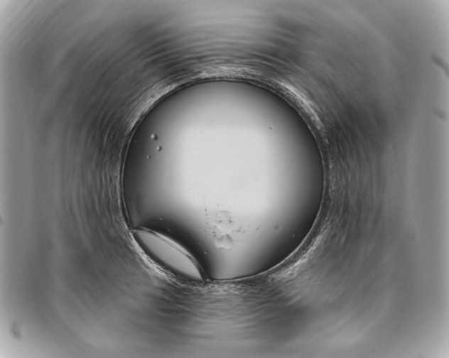 X0000096431041200802071721