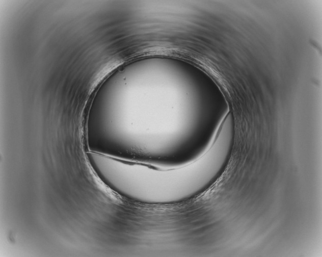 X0000096431042200802071721