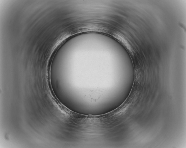 X0000096431043200802071721