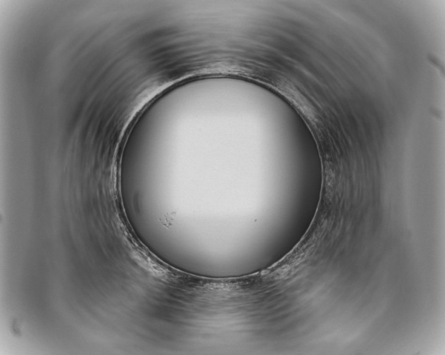 X0000096431044200802071721