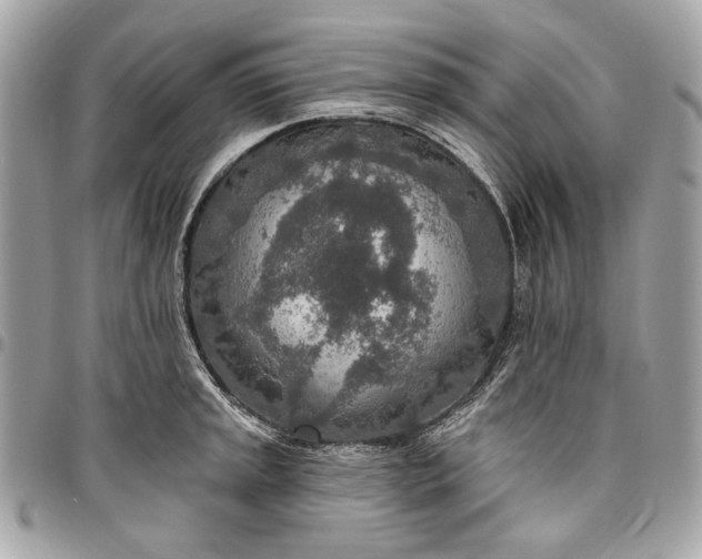 X0000096431045200802071721