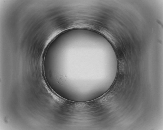 X0000096431046200802071721