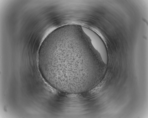 X0000096431048200802071721
