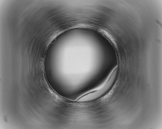 X0000096431049200802071721