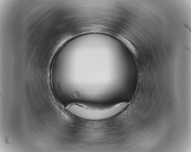 X0000096431051200802071721
