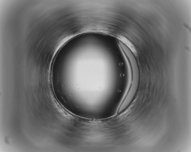 X0000096431052200802071721