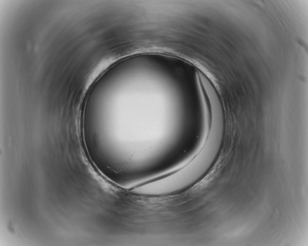 X0000096431054200802071721