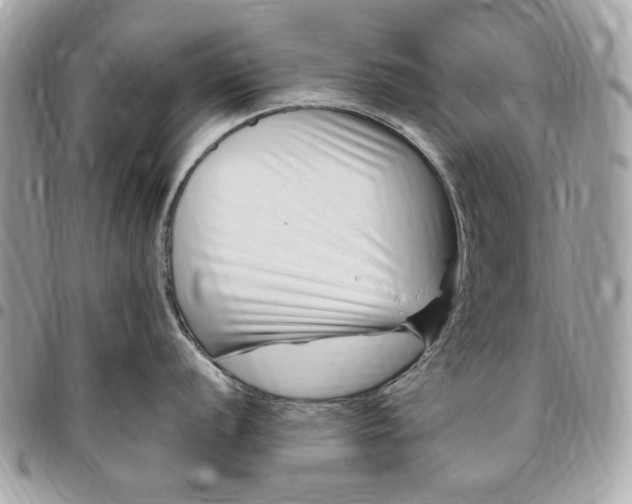 X0000096431056200802071721