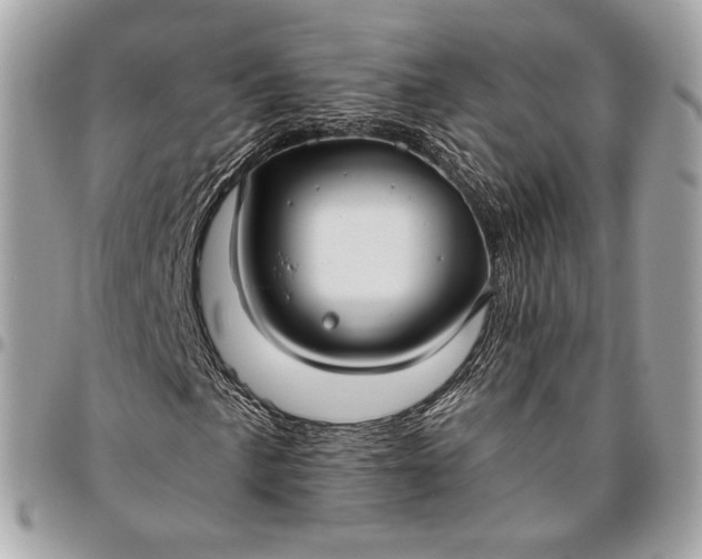 X0000096431057200802071720