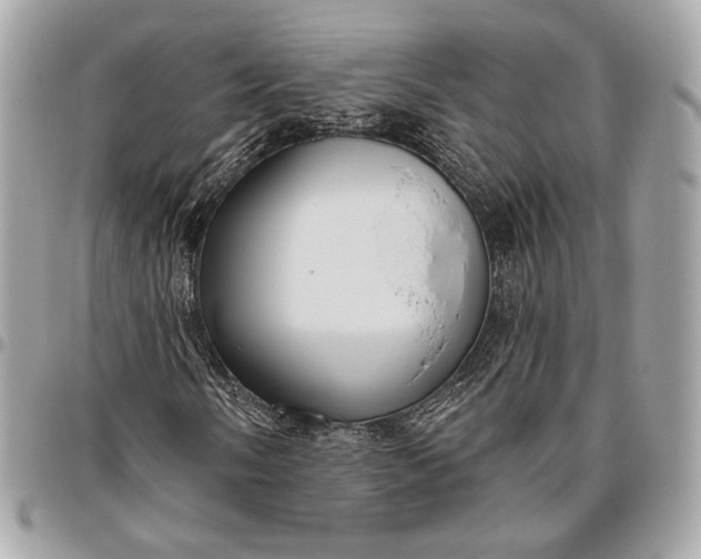 X0000096431058200802071720