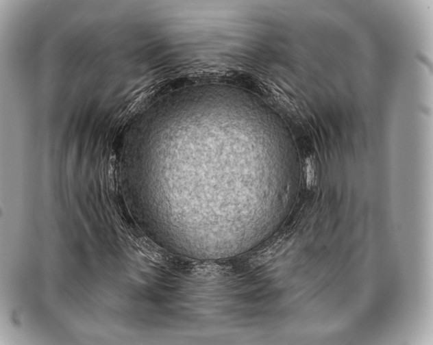 X0000096431059200802071720
