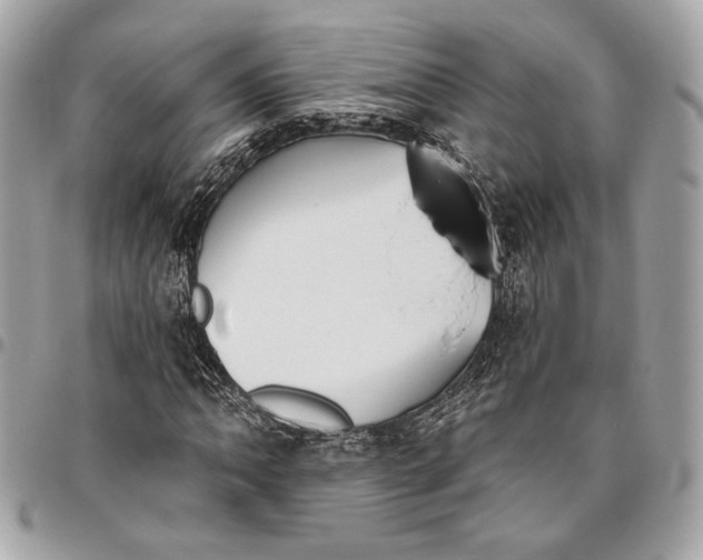 X0000096431062200802071720