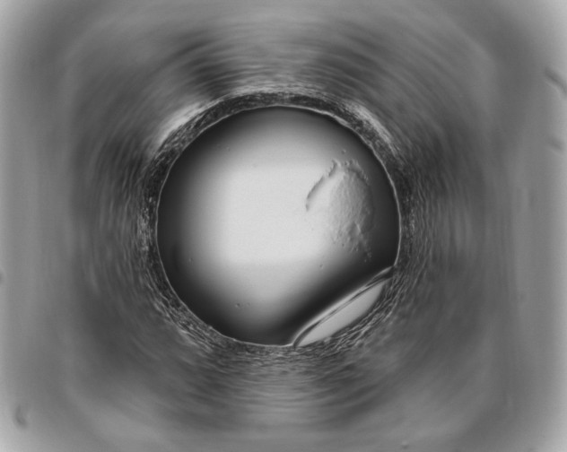 X0000096431064200802071720