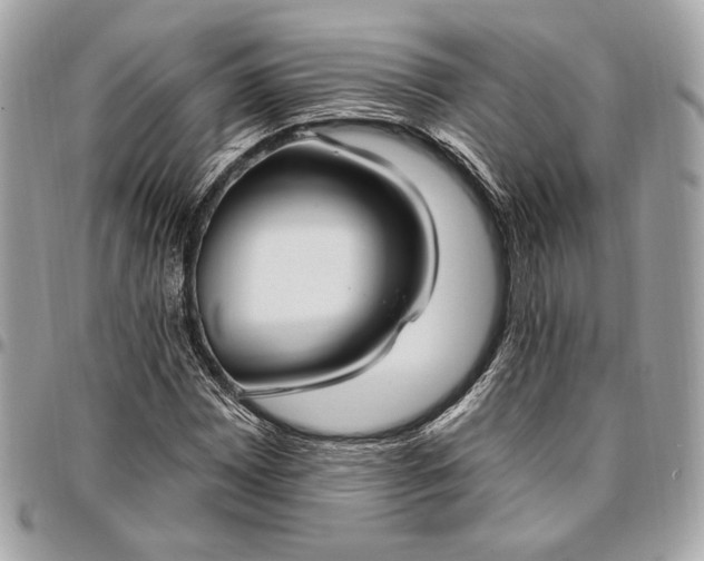 X0000096431065200802071720