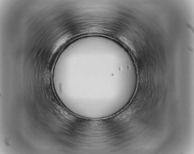 X0000096431067200802071720