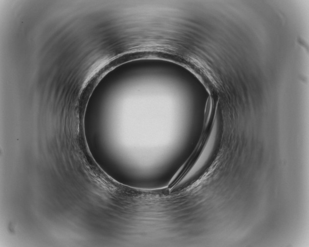 X0000096431069200802071720