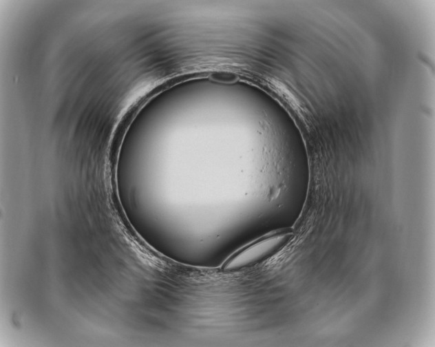 X0000096431072200802071720