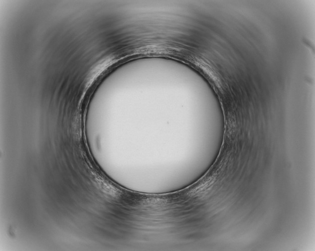 X0000096431075200802071720