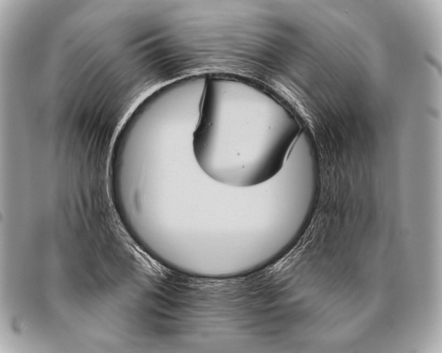 X0000096431076200802071720