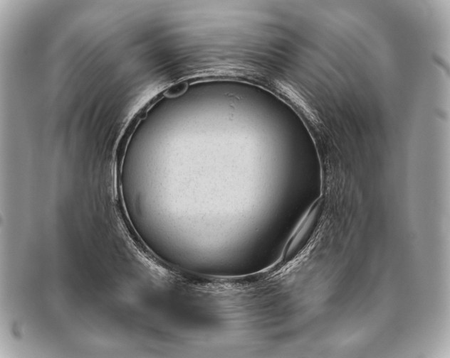 X0000096431079200802071720
