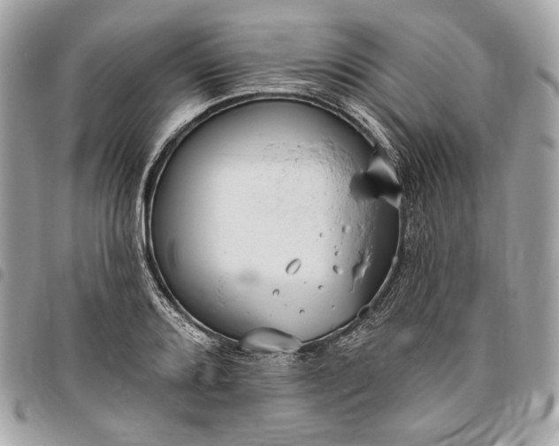 X0000096431080200802071720