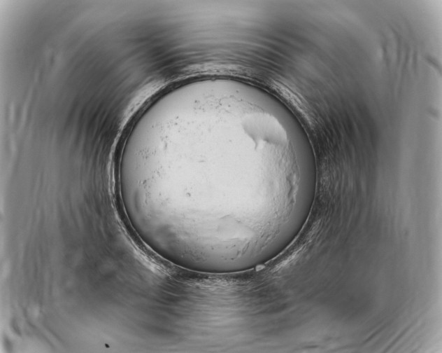 X0000096431082200802071720