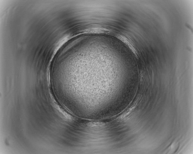 X0000096431083200802071720