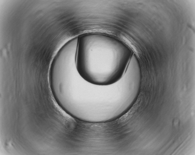 X0000096431084200802071720