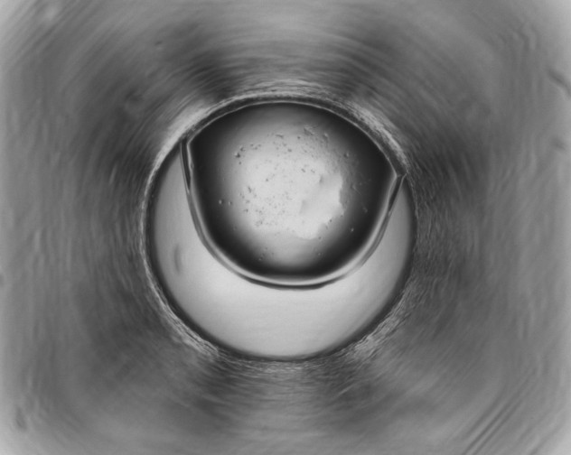 X0000096431085200802071720