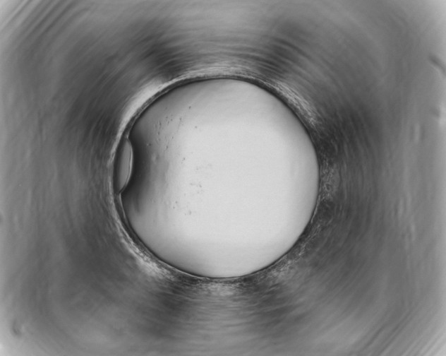 X0000096431086200802071720