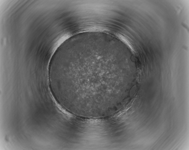 X0000096431087200802071720