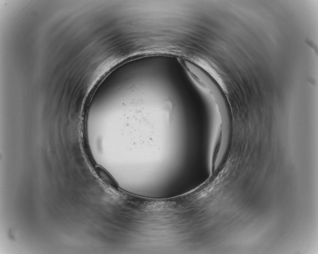 X0000096431093200802071720