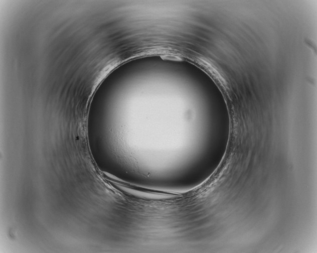 X0000096431097200802071720