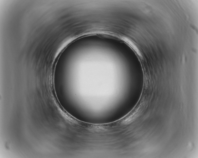 X0000096431101200802071720