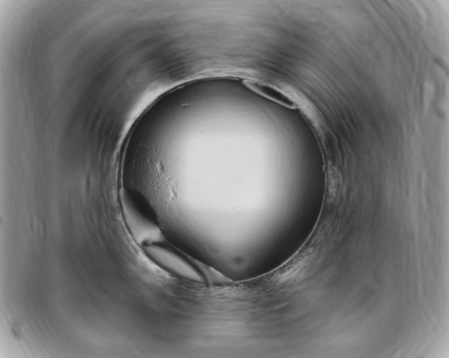 X0000096431102200802071720
