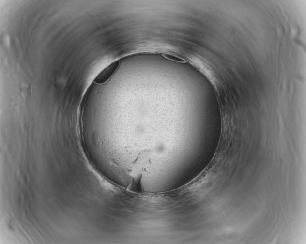 X0000096431103200802071720
