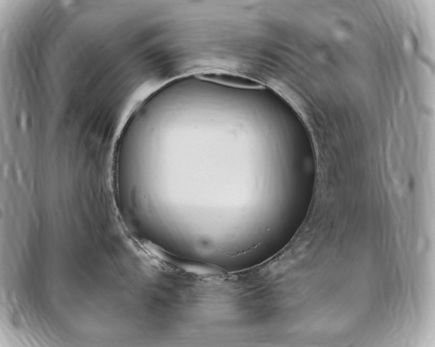 X0000096431104200802071720